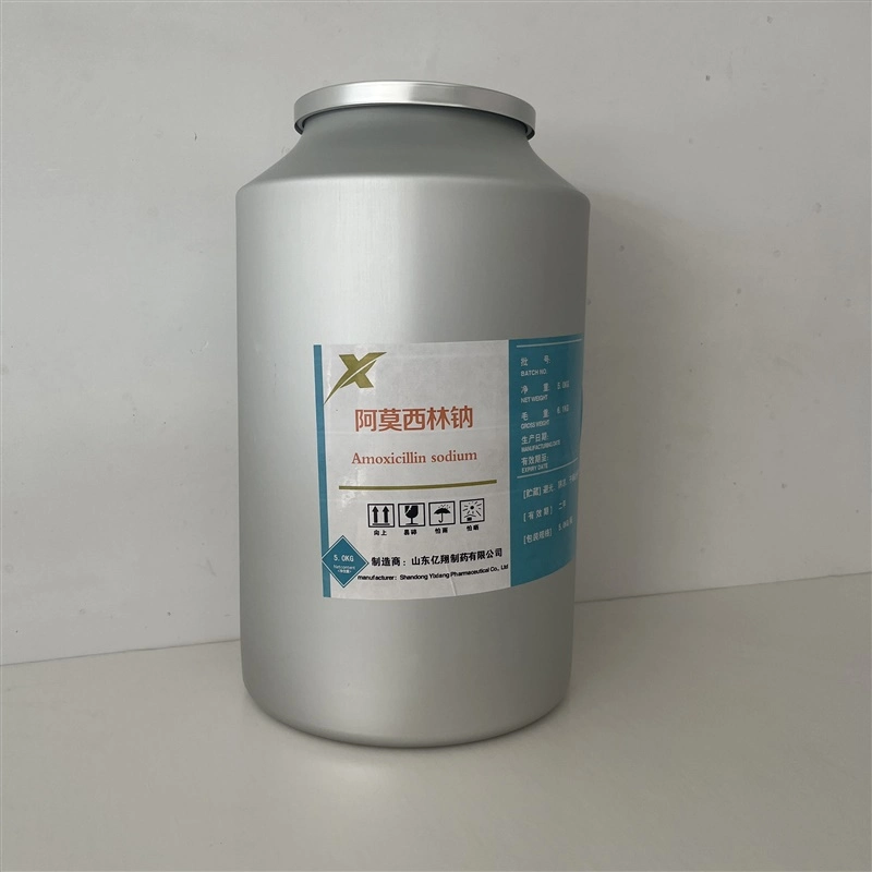 Amoxicillin Sodium and Flucloxacillin Sodium Antibiotic Amoxicillin Sodium Veterinary Medicine