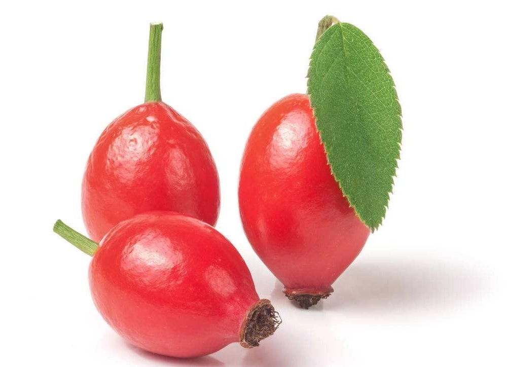 Preço de oferta de fábrica Rosehip Extrato de Frutas em pó vitamina C Extracto Rosehip