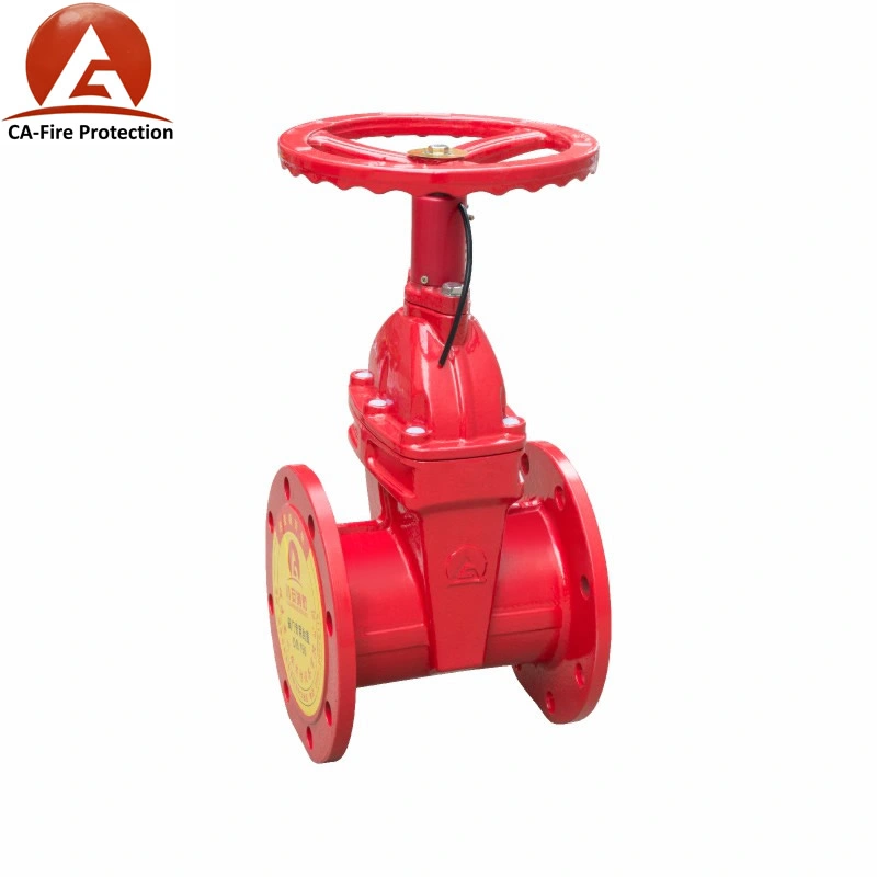 Cast Iron Resilient Seat DN150 6 Inch Gate Valve with Prices