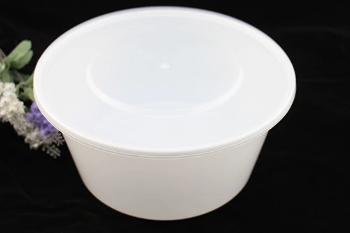 Restaurant Equipment Kitchen Disposable Plastic Food Container Fruit Packaging Container