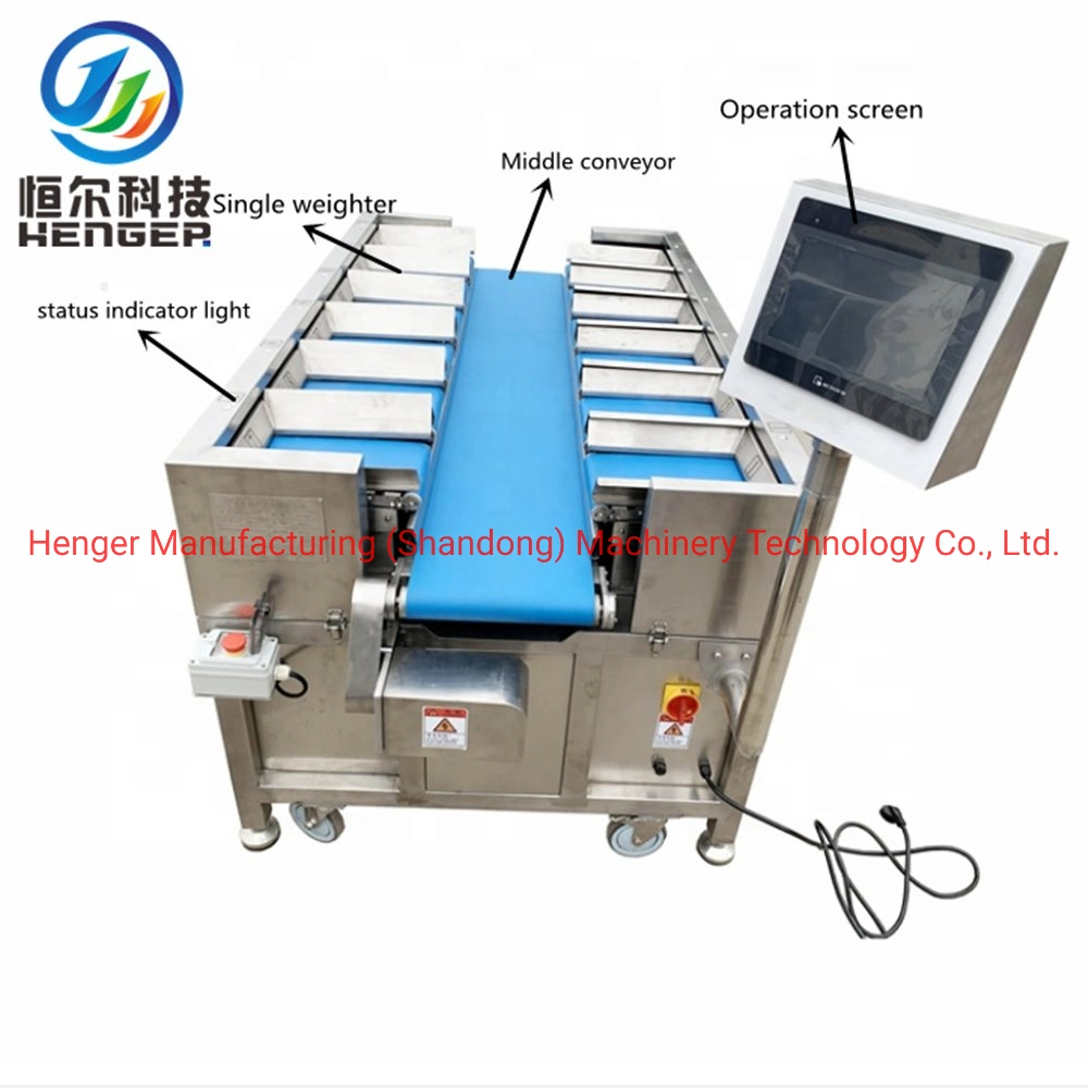 Weight Sorting Industrial Check Weigher Machine