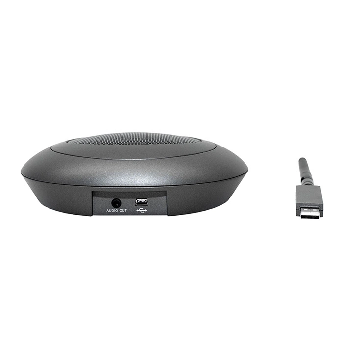 2.4G Wireless Omni-Directional Microphone with Speaker Battery