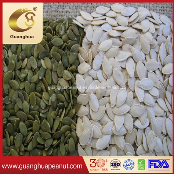 Export Standard Shine Skin Pumpkin Seeds Crop 2022