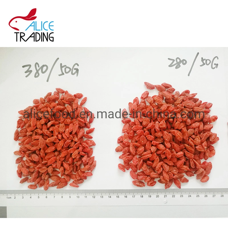 2019 New Crop Goji Berry Wholesale/Supplier Ningxia Goji Drying Gojiberry