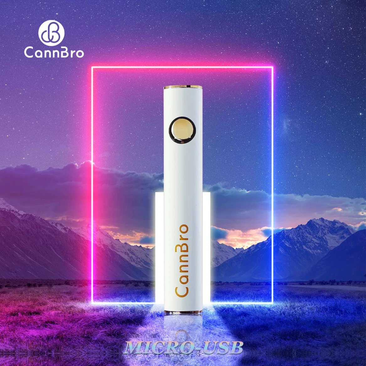 2023 14mm d'épaisseur de l'huile Type de plume Vape-C de la Chine de gros de la batterie Rainbow E cigarette