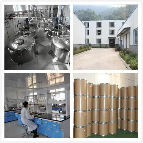 Factory Price Ginsenoside 10%50% 80%UV Ginseng Herbal Extract