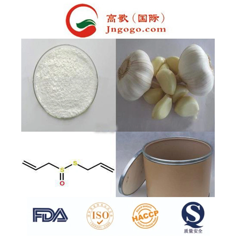 China High Quality Animal Feed Additve Garlic Allicin Powder for Poultry