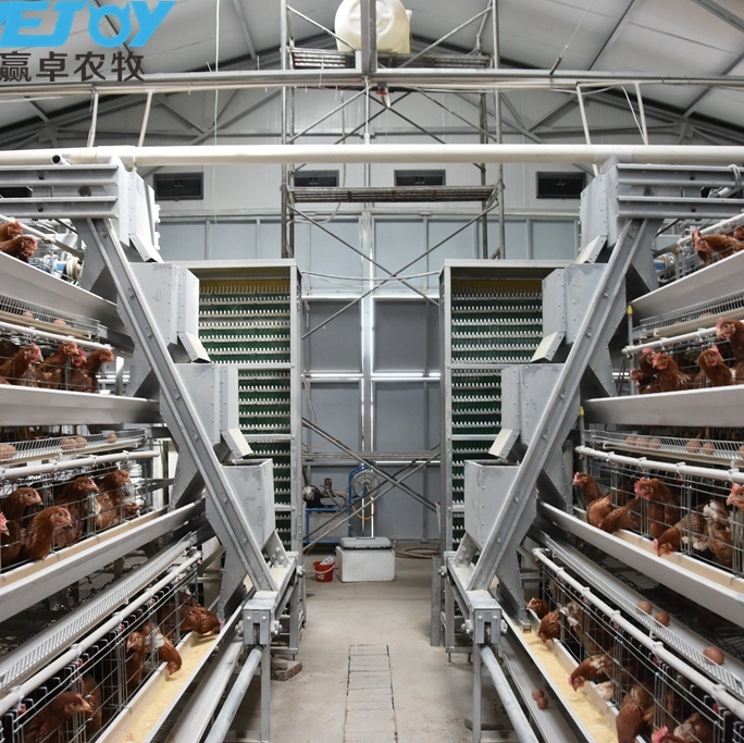 Automatic Layer Cage System with Feeder for Chicken Poultry Equipment Chicken Coop