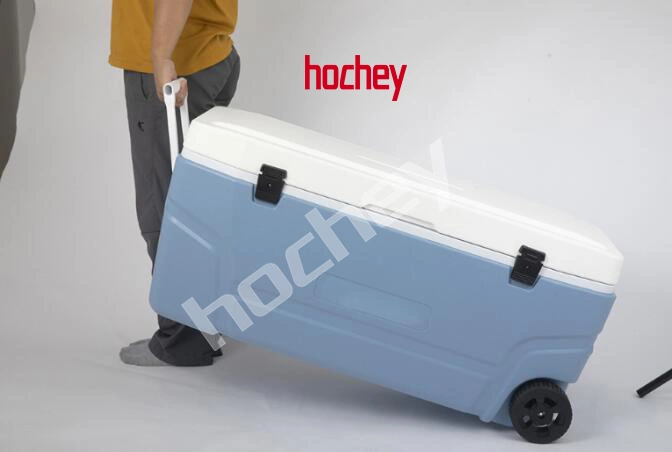 Hochey Medical Vaccine Carrier Medical Cooler Box Professional Vaccine Refrigerator