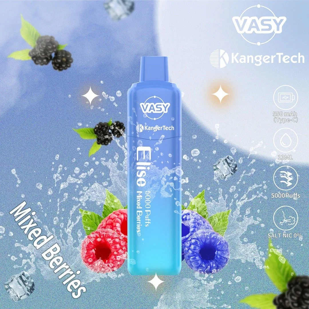 Electronic Cigarette Manufacturer Vasy Elise 5000 Puffs Top Selling in USA Disposable Vape Pen Rechargeable Atomizer