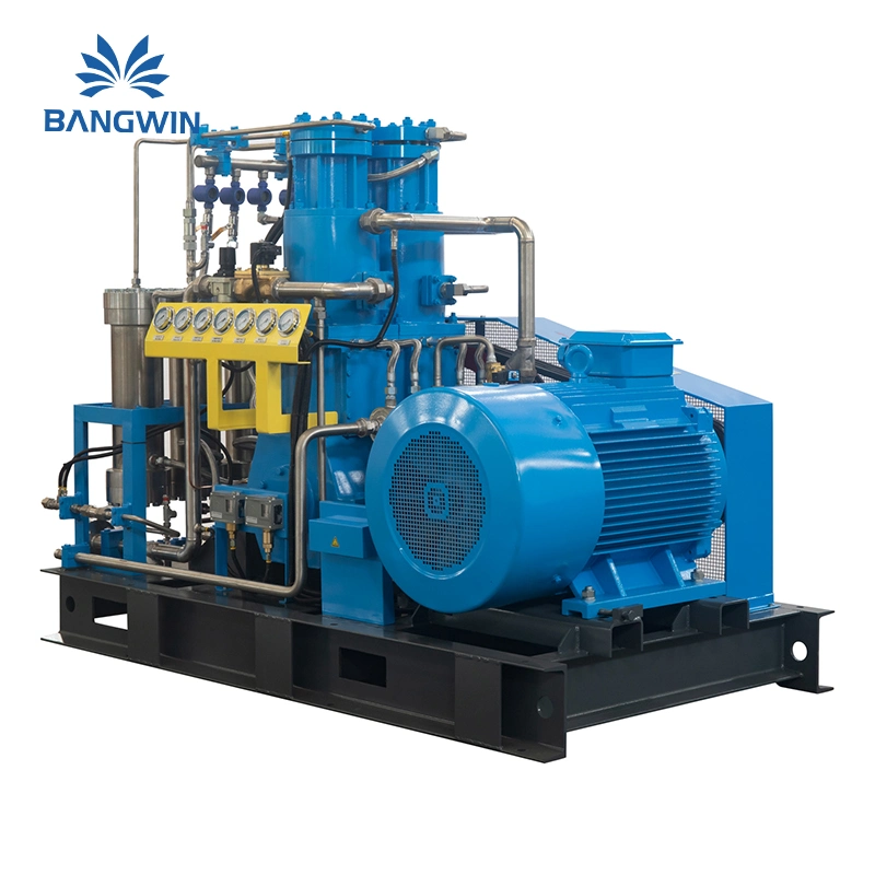 Factory Custom Cheap China Factory Price Air Compressor for Oxygen Generator