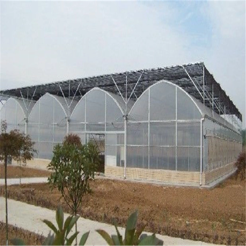 Smart Multi-Span película tipo arco de la agricultura de gases de efecto para las verduras con Hidroponía sistemas de cultivo para el cultivo del tomate imagen