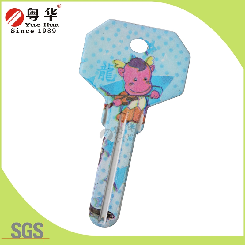 Top Security Colorful Door Key Blank