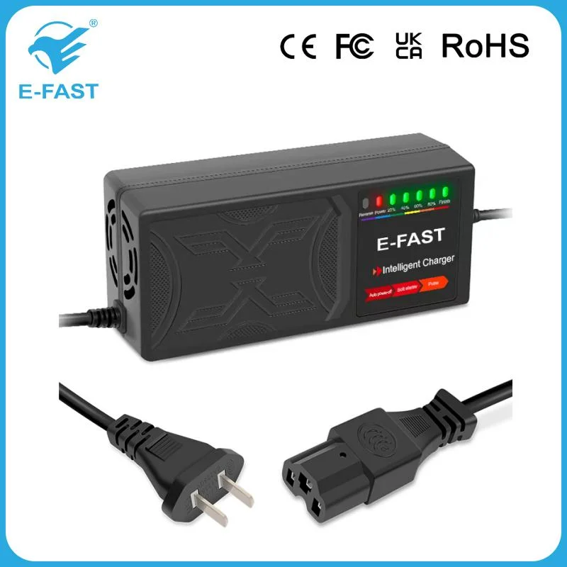OEM E-Fast 48V 45ah Lead Acid Battery Charger for E-Bike E-Scooter Tricycle