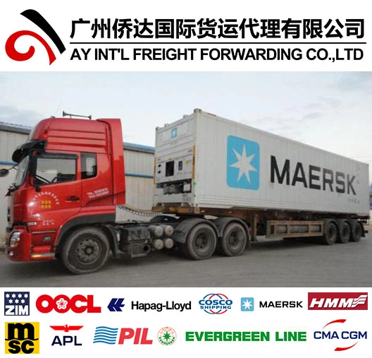 Sea Freight for Foshan Furniture Container to Rotterdam/Hamburg/Antwerp/Le Havre by Sea