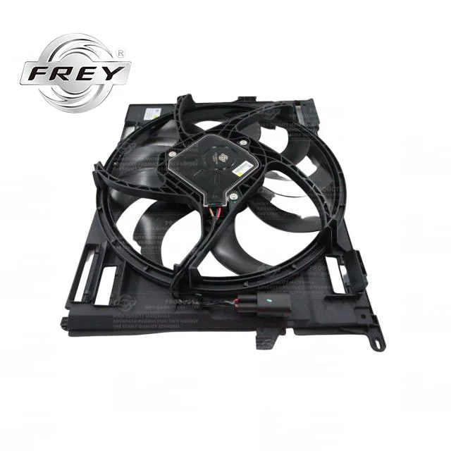 OEM 17428625440 Car Electric Fan 600W Radiator Fan Frey Auto Parts Cooling System for BMW F30