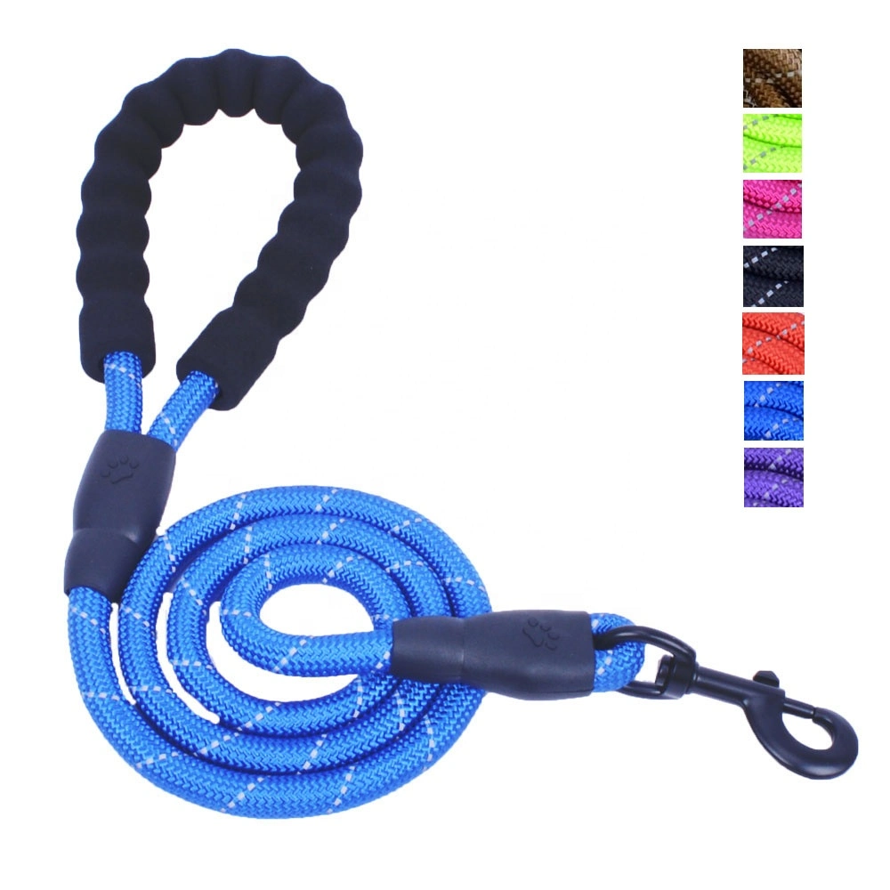 Collier pour chien Classic de couleurs en aplat Pet Collier pour chien confortable conduit