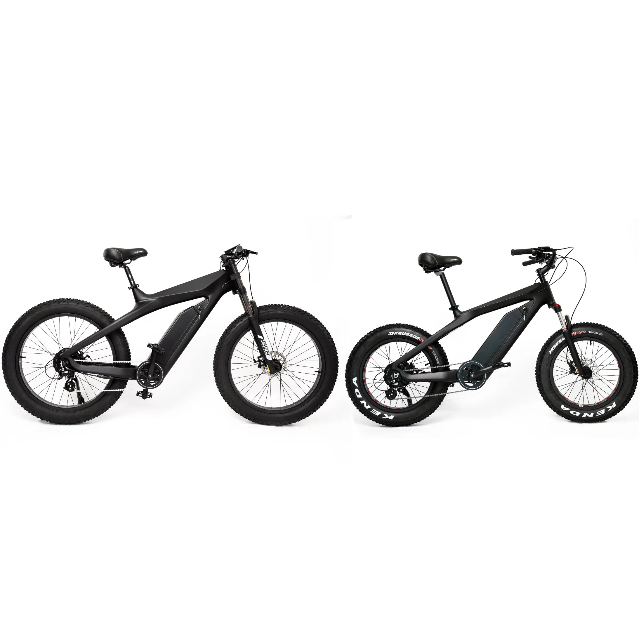 Amazon Hot Selling 750W E-Bike Fat Tire Mountain Electric Bicycle