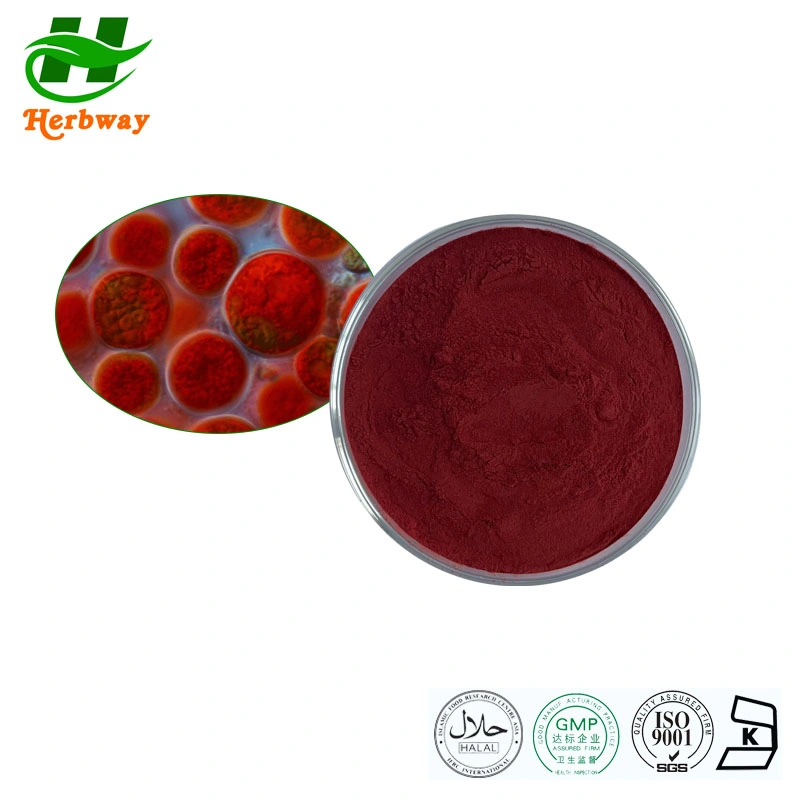 Herbway Free Sample Kosher Halal Fssc HACCP Certified Natural Pigment Haematococcus Pluvialis Astaxanthin