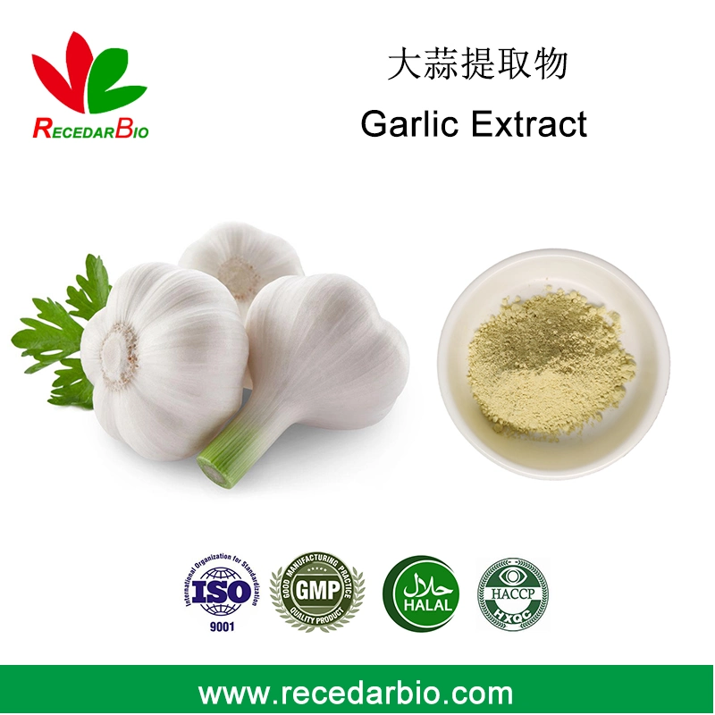 Original Factory Anti-Inflammatory Allicin Garlic Extract Powder