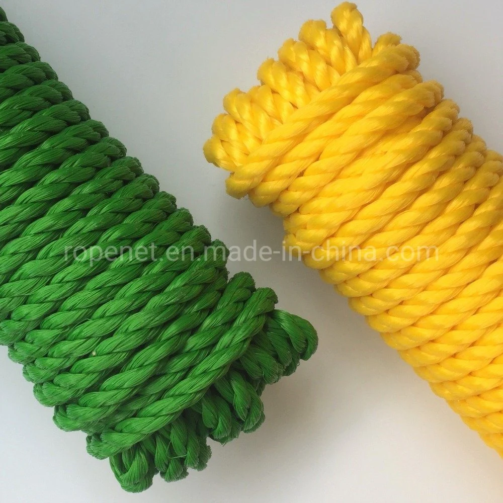 Plastic Polyester Polyamide Nylon Ropes for Fishing and Mooring 3/4/8/12 Strand Marine Polypropylene PP/PE Danline Plastic Rope Factory China