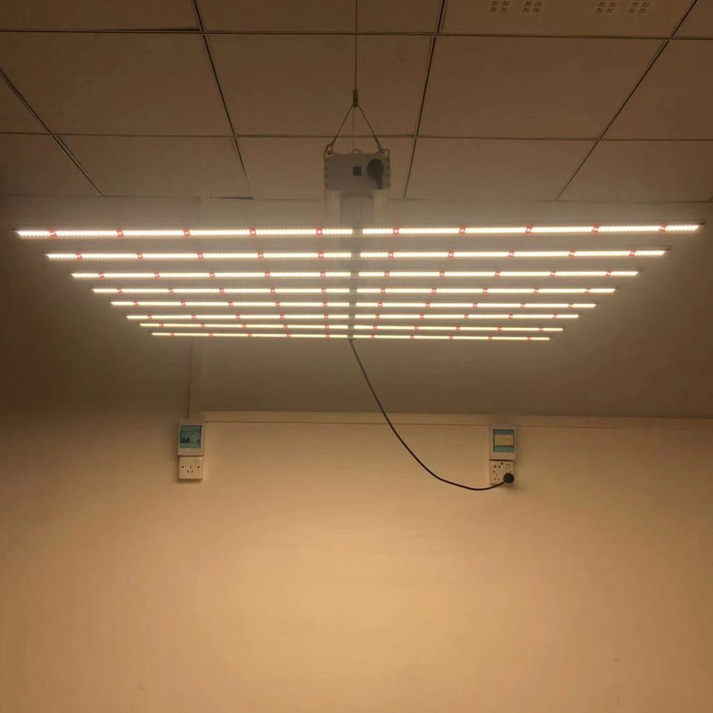 Luz de crescimento para estação Samsung LED High Lumen Full Spectrum para Lâmpada de crescimento de plantas interiores