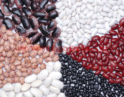 Wholesale/Suppliers Dried Black Kidney Beans 300-330 for Food