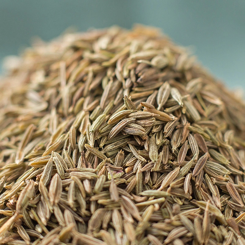 Semillas de comino suministro de semillas de cumin secas Especias con Precio de fábrica