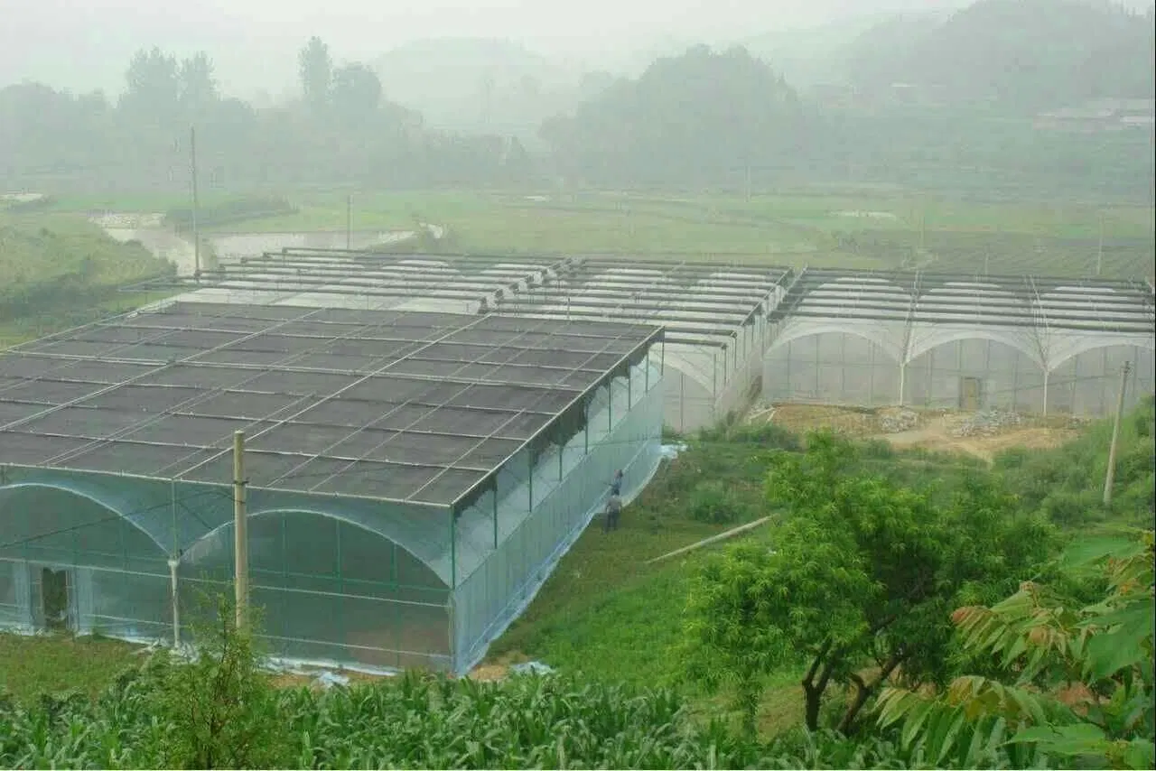 Perfect bonne qualité agricole Greenhouse tunnel Green House à vendre