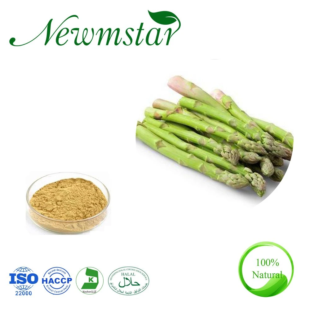 Facory Supply High Qualitynatural Asparagus Cochinchinensis Shatavari Powder Extract 10: 1, 20: 1 Asparag @Used to Health Care Product