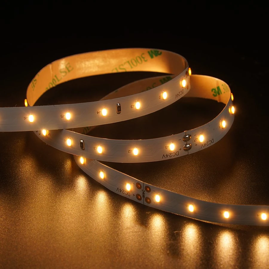 Leomay Wholesale/Supplier Indoor Decoration SMD3014 70leds/m 10MM LED Strip Light