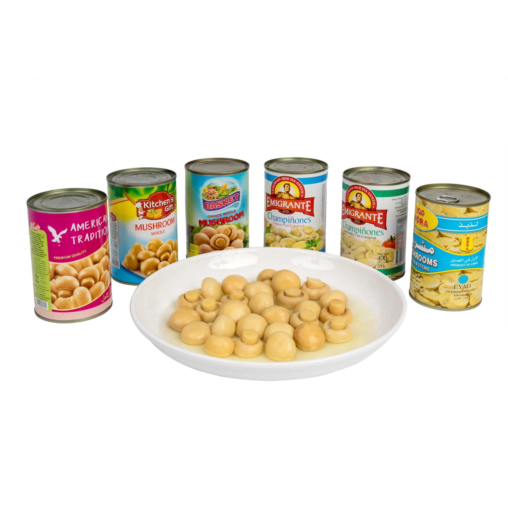 Top Quality Healthy Food Canned Whole Mushroom Food From China