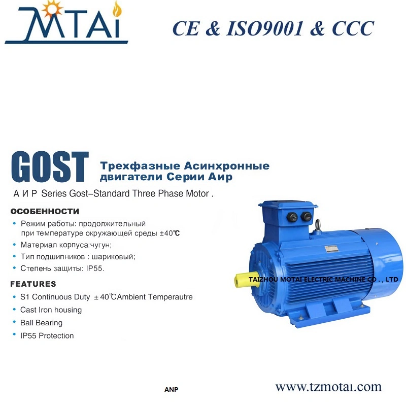 ANP250~ANP355 ANP سلسلة GOST-Standard ثلاثي الأطوار Motor75KW-160KW