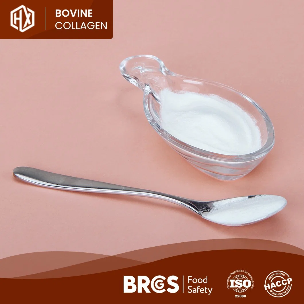 Haoxiang Bovine Bone Hydrolyzed Collagen Peptides High-Purity Originated Hydrolyzed Peptides Powder China Manufacturing ODM OEM Custom Bovine Collagen Protein