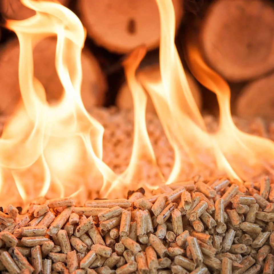 Eco Fuel Boiler Grenen 6mm 8mm Fuel Oak Pine Heating Wood Pellets Burner Pine Enplus A1 6mm DIN Plus in Bags