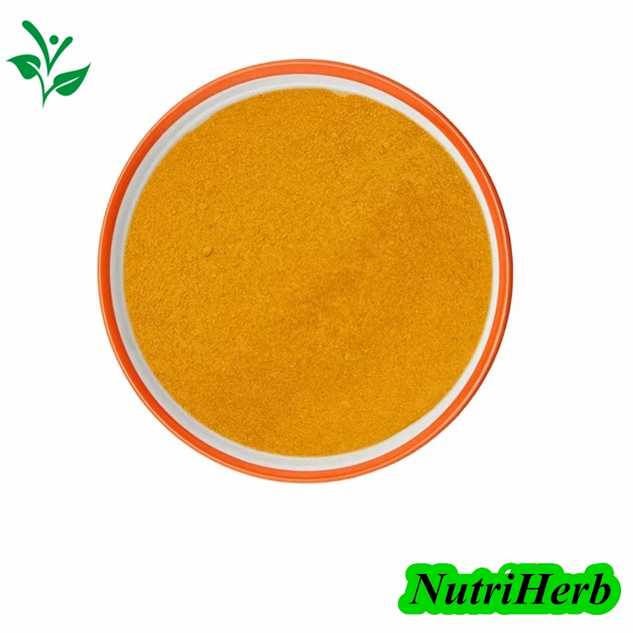 Manufacturer Supply Q10 Coenzyme Powder Raw Material Coenzyme Q10 for Nutritional Supplements