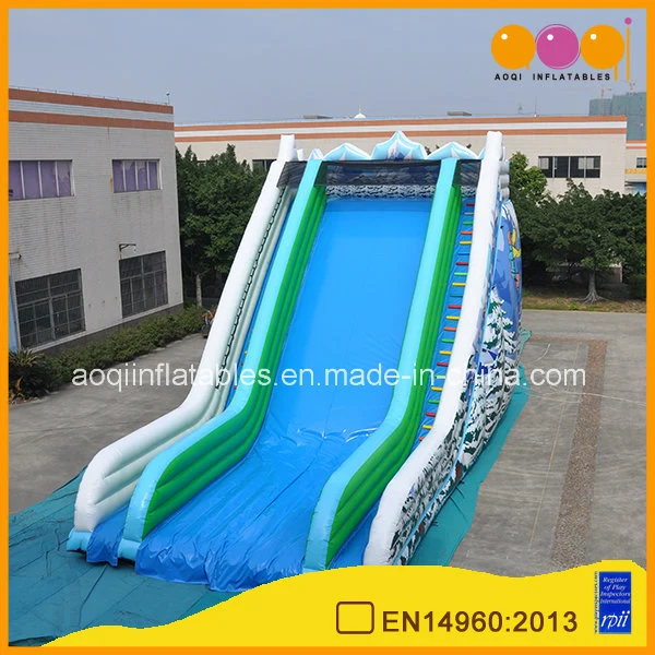 Hot Sale Funny Christmas Inflatable Slide for Adults (AQ1157)