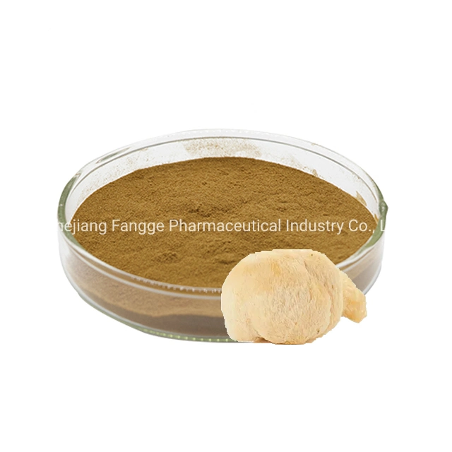 Lion's Mane Extract Powder Hericium Erinaceus Extract Powder 1: 1