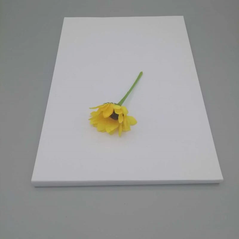 Hot Sales C2s 300GSM Art Board Card Paper 300GSM for Packing