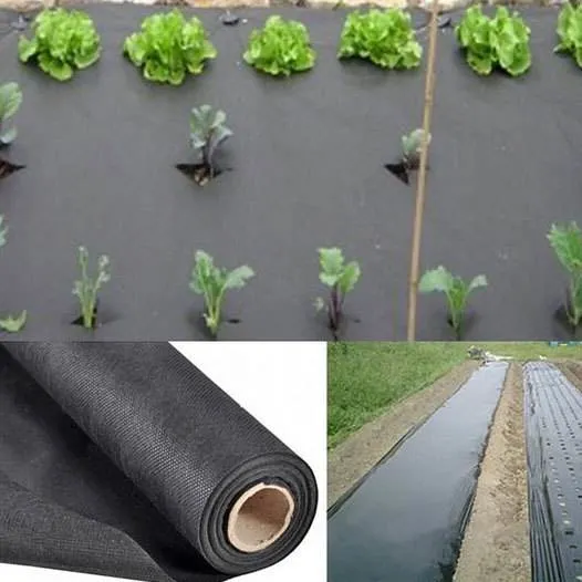 PP Spunbond Nonwoven Products Used for Plant Protection