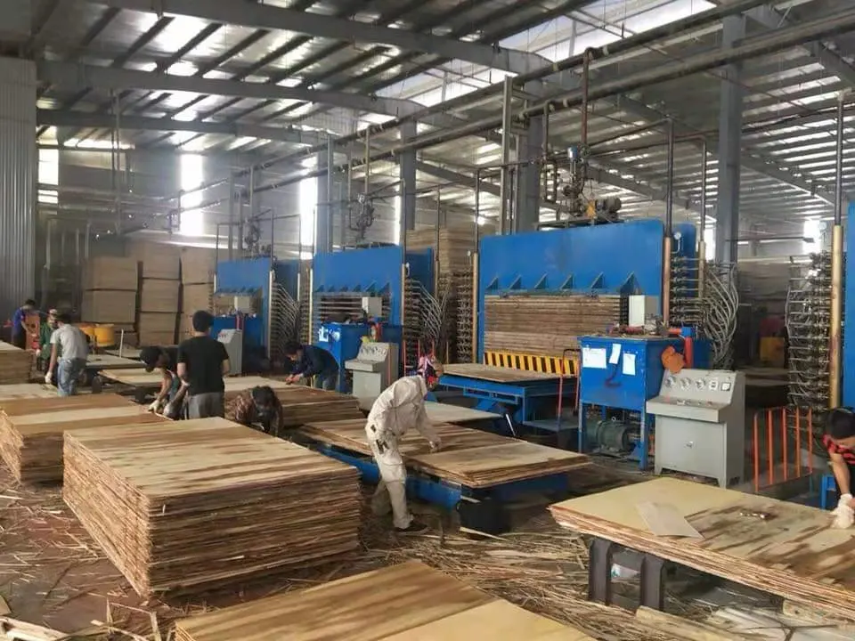 Chapa de madera Hot Press utilizada en la línea de producción de madera contrachapada Por India Indonesia Vietnam