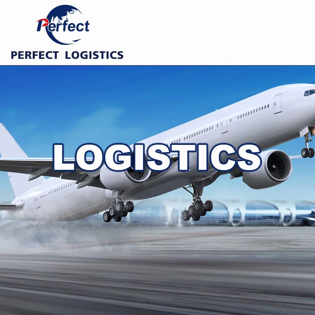 Freight Forwarder/Shipping Agent/Sea Freight Shipping/Air Shipping/Express From China to Worldwide