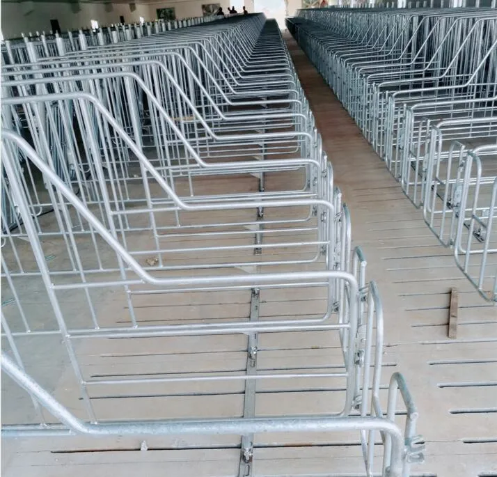 Galvanized Animal Cage Equipment Gestation Crates Pig Pen