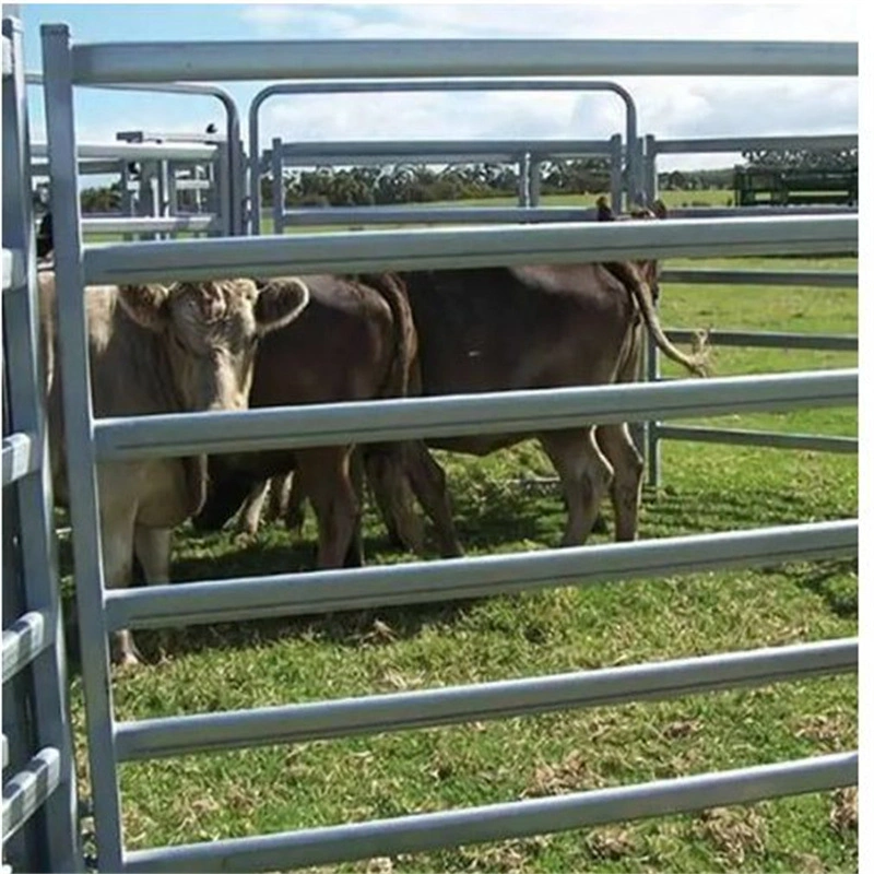 Livestock Horse Yard Panel Galvanized Portable Cattle Fence Corral Panels