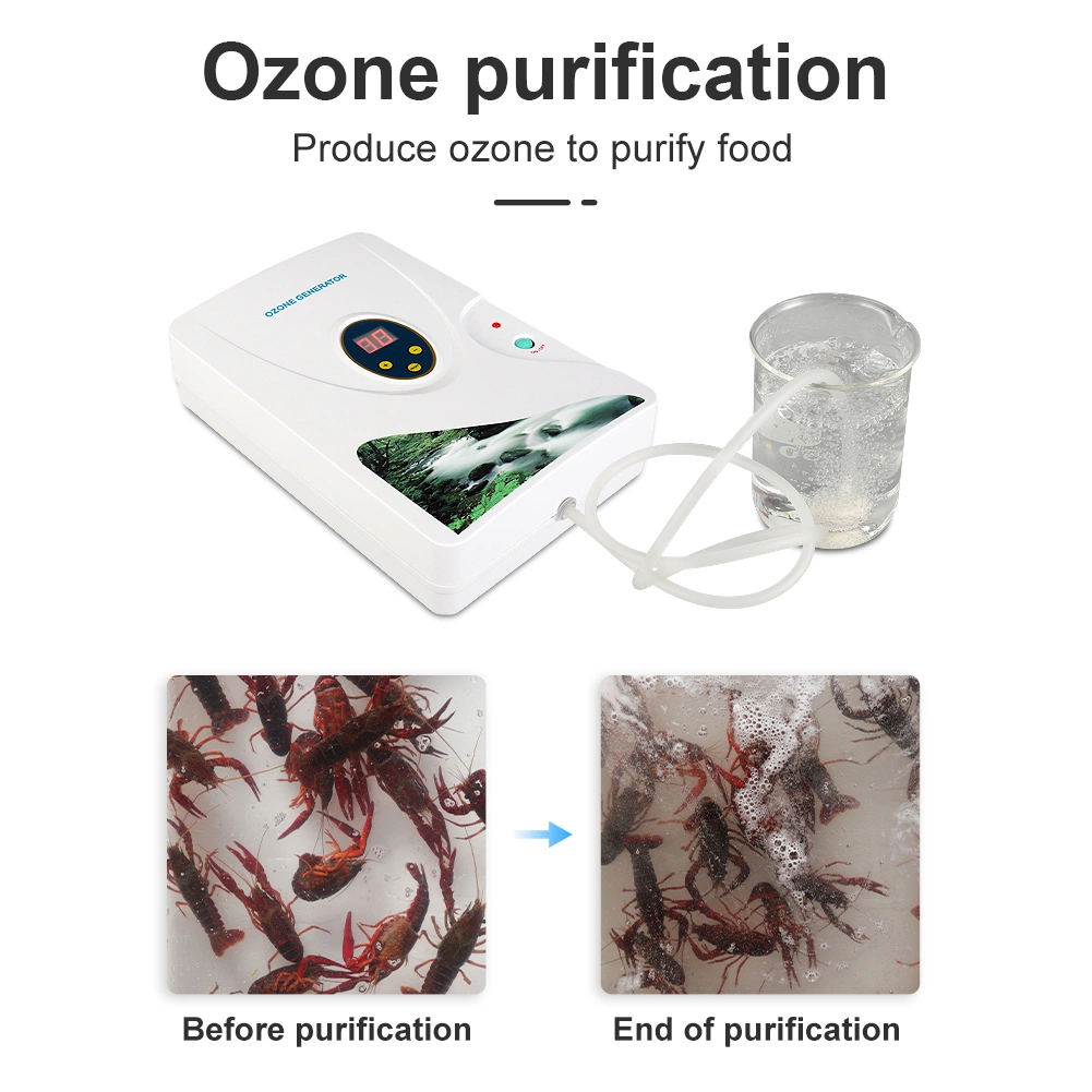 CE RoHS FCC 600 мг/ч генератор озона Ozonator фруктов и овощей шайбу