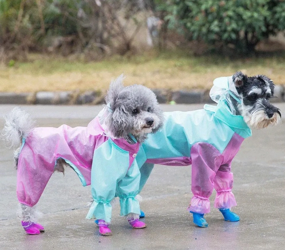 Vergrößern Bild hinzufügenzum Vergleichenharenew Pet Dog weiche Silikon-Regenstiefel Wasserdicht und Anti-Skid, Hunde-Regenschuhe