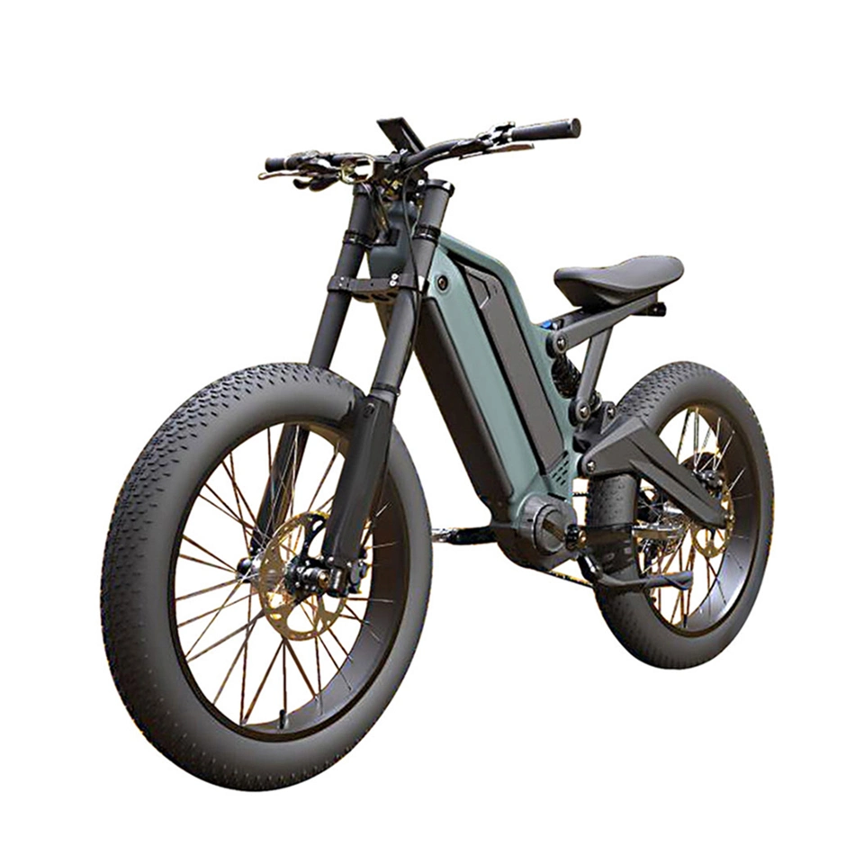 24 Inch 48V 15ah 10ah 9 Speed Cycle Aluminum Alloy Fat Tire 1000W Electric Bike