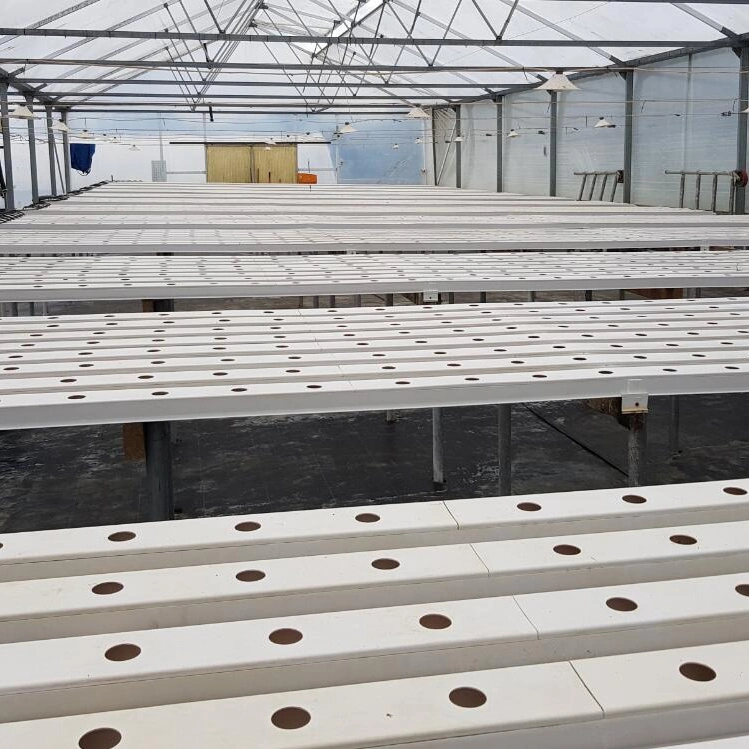 Indoor verticale des systèmes de culture hydroponique Nft de plus en plus de légumes pour la plantation d'accueil