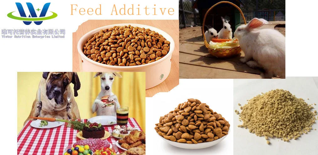 Feed Supplement Feed Grade 98.5% L-Lysine HCl for Animals