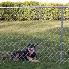 Cattle/Sheep/Farm Security Diamond Mesh Wire Fence Chain Link Fence 50 X 50 mm Mesh Size